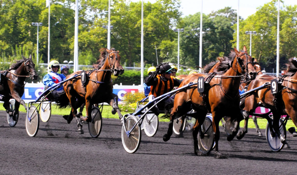 frequence turf || frequenceturf